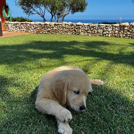 Vila Tu Pequeno Paraiso Calafell Exteriér fotografie